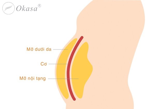 6 loại mỡ thừa trong cơ thể, và cách giảm mỡ