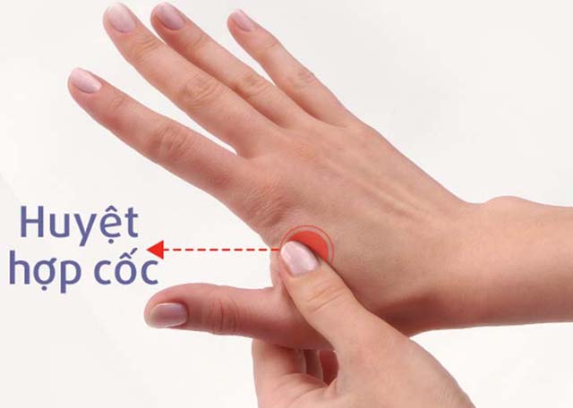 8 huyệt đạo chính trên cơ thể
