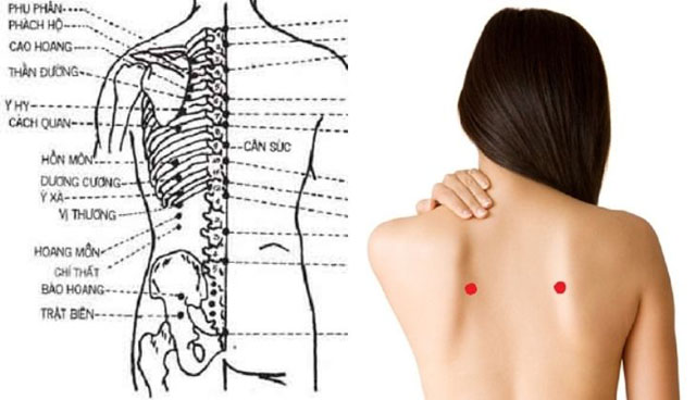 8 huyệt đạo chính trên cơ thể