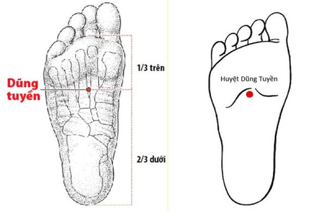 8 huyệt đạo chính trên cơ thể