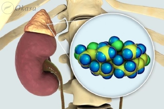 9 cách giảm mức hormone cortisol trong cơ thể