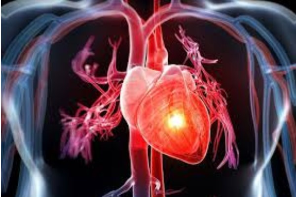 đau nhức vùng xương ức là dấu hiệu của bệnh gì