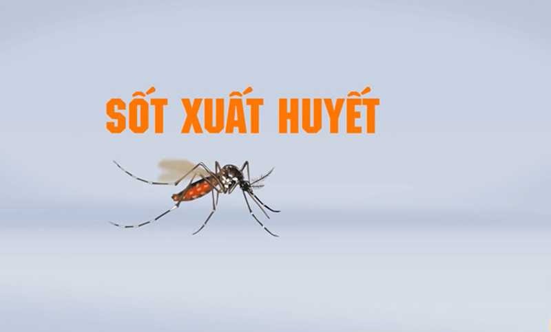 đau nửa đầu bên phải và nhức mắt nguyên nhân do đâu