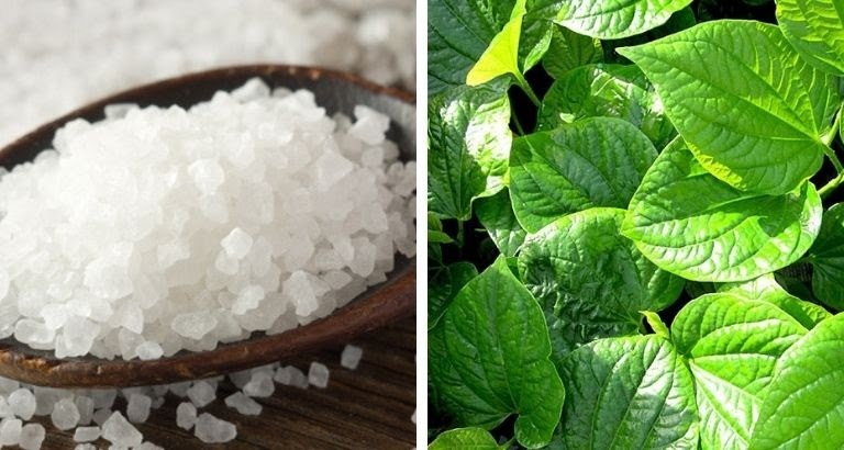 đau vùng lưng sau phổi nguyên nhân là gì