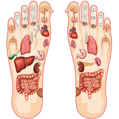 bấm huyệt bàn chân trị bách bệnh