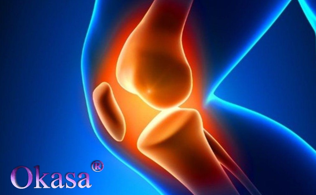 bệnh thoái hóa khớp gối