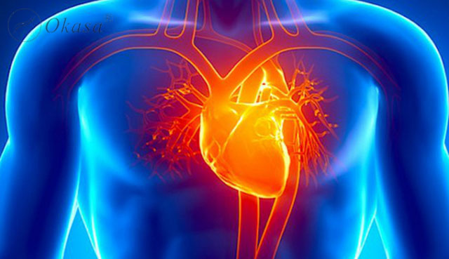 Bệnh tim có di truyền hay không ?