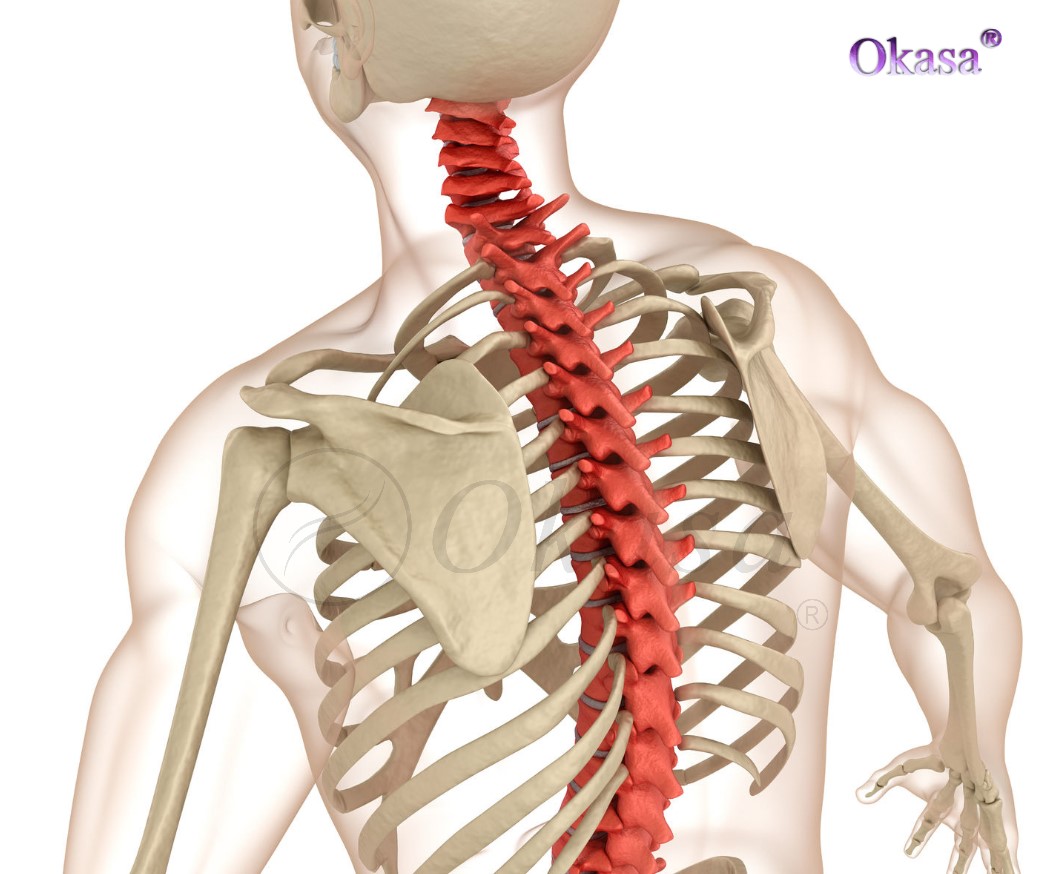 bị đau do u cột sống