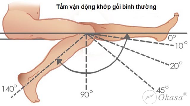 Biên độ vận động của khớp là gì?