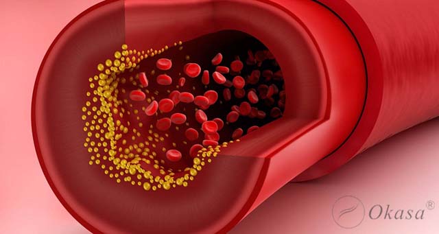 Các chỉ số cơ thể giúp bạn kiểm soát bệnh tim mạch
