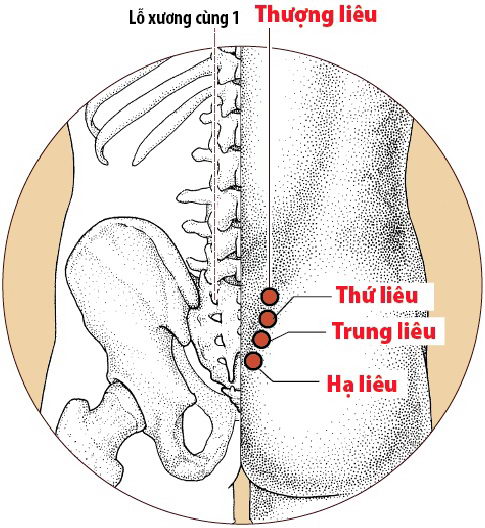 Các Huyệt nằm ở trên đường kinh Bàng quang