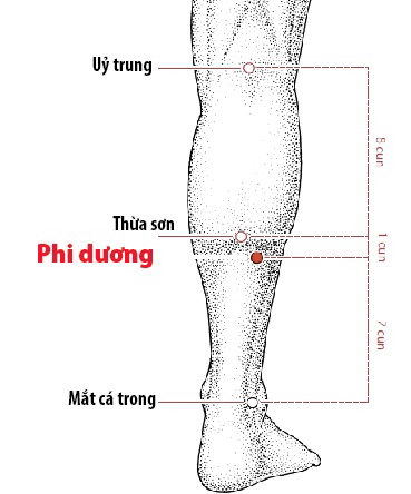 Các Huyệt nằm ở trên đường kinh Bàng quang