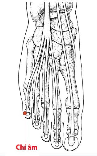 Các Huyệt nằm ở trên đường kinh Bàng quang