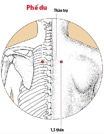 Các Huyệt nằm ở trên đường kinh Bàng quang