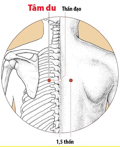 Các Huyệt nằm ở trên đường kinh Bàng quang