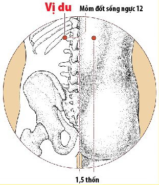 Các Huyệt nằm ở trên đường kinh Bàng quang