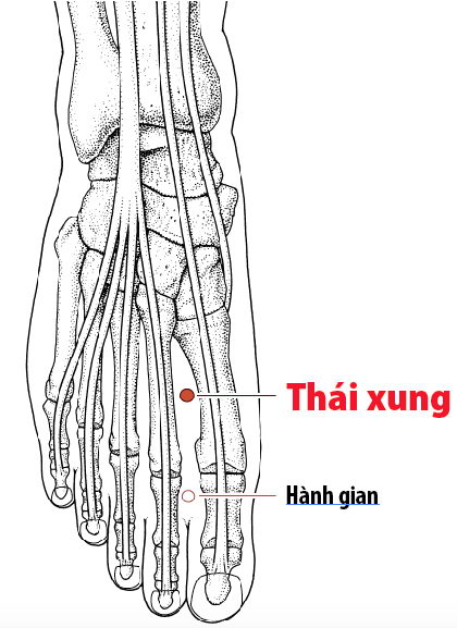 Các Huyệt nằm ở trên đường kinh Can