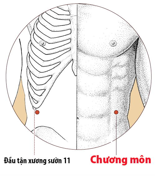 Các Huyệt nằm ở trên đường kinh Can