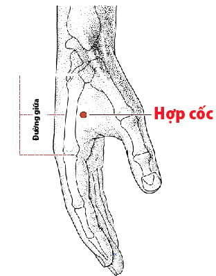 Các Huyệt nằm ở trên đường kinh Đại trường