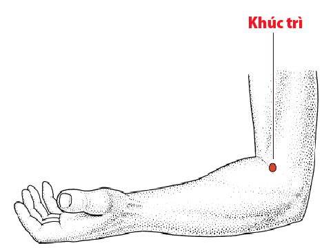 Các Huyệt nằm ở trên đường kinh Đại trường