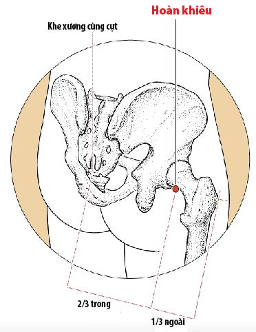 Các Huyệt nằm ở trên đường kinh Đởm