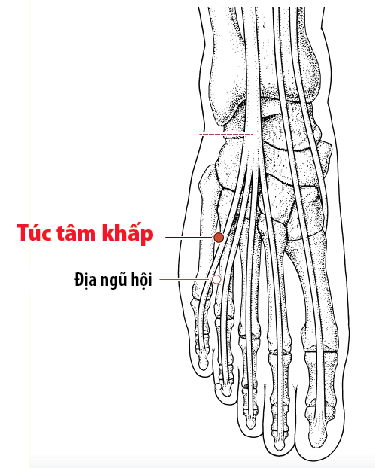 Các Huyệt nằm ở trên đường kinh Đởm
