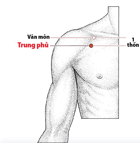 Các Huyệt nằm ở trên đường kinh phế
