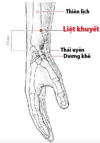 Các Huyệt nằm ở trên đường kinh phế