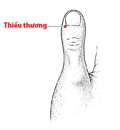 Các Huyệt nằm ở trên đường kinh phế