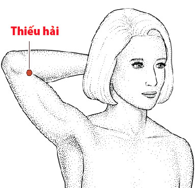 Các Huyệt nằm ở trên đường kinh Tâm