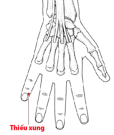 Các Huyệt nằm ở trên đường kinh Tâm
