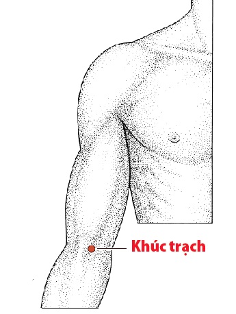 Các Huyệt nằm ở trên đường kinh Tâm bào