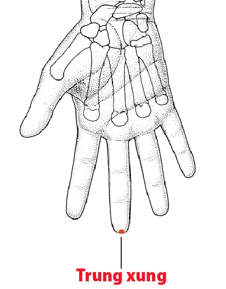 Các Huyệt nằm ở trên đường kinh Tâm bào