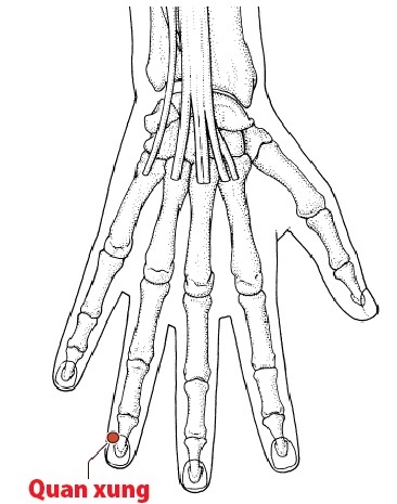 Các Huyệt nằm ở trên đường kinh Tam tiêu