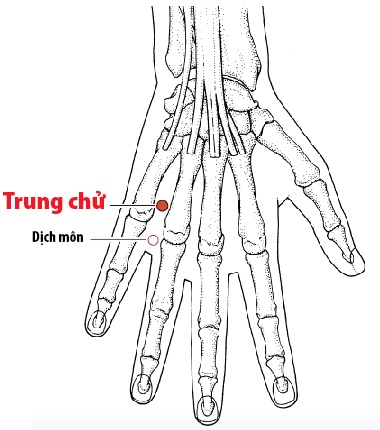 Các Huyệt nằm ở trên đường kinh Tam tiêu