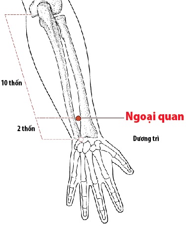 Các Huyệt nằm ở trên đường kinh Tam tiêu