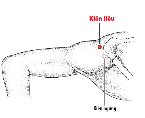 Các Huyệt nằm ở trên đường kinh Tam tiêu
