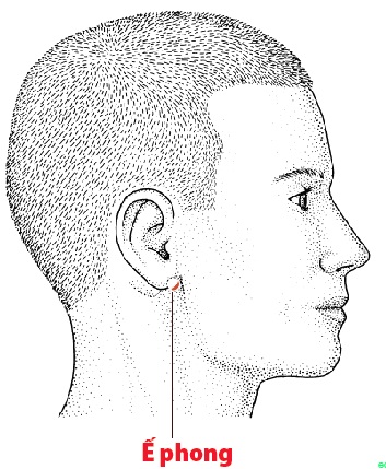 Các Huyệt nằm ở trên đường kinh Tam tiêu