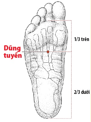 Các Huyệt nằm ở trên đường kinh Thận