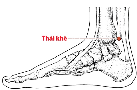 Các Huyệt nằm ở trên đường kinh Thận