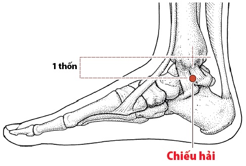 Các Huyệt nằm ở trên đường kinh Thận