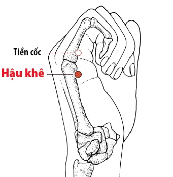 Các Huyệt nằm ở trên đường kinh Tiểu trường