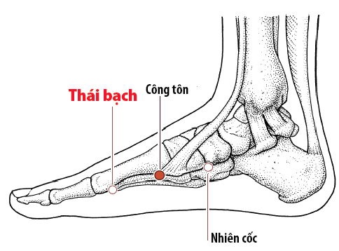 Các Huyệt nằm ở trên đường kinh Tỳ