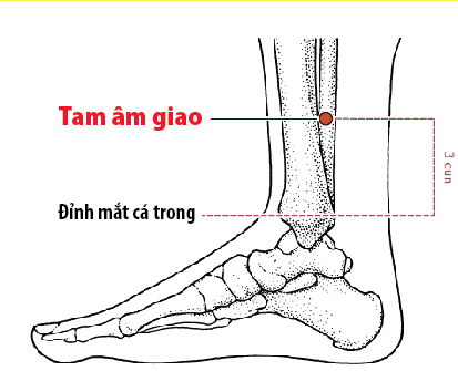 Các Huyệt nằm ở trên đường kinh Tỳ