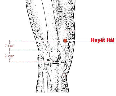 Các Huyệt nằm ở trên đường kinh Tỳ
