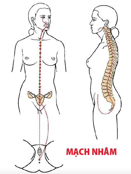 Các Huyệt nằm ở trên mạch Nhâm
