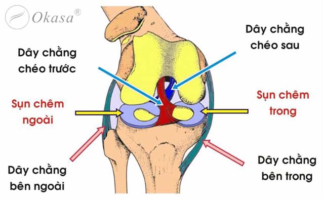 Các phương pháp điều trị sụn chêm khớp gối bị tổn thương