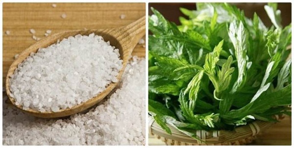 Cách chữa bệnh đau lưng bằng ngải cứu đơn giản