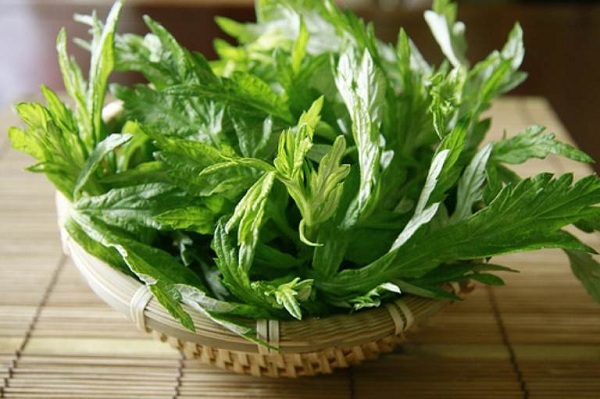 cách chữa đau lưng bằng ngải cứu