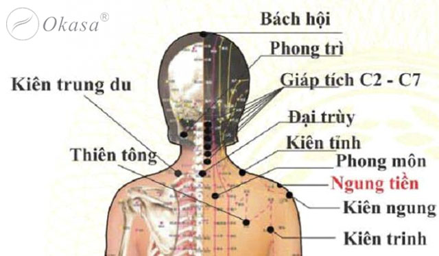 Cách massage bấm huyệt trị đau mỏi vai gáy